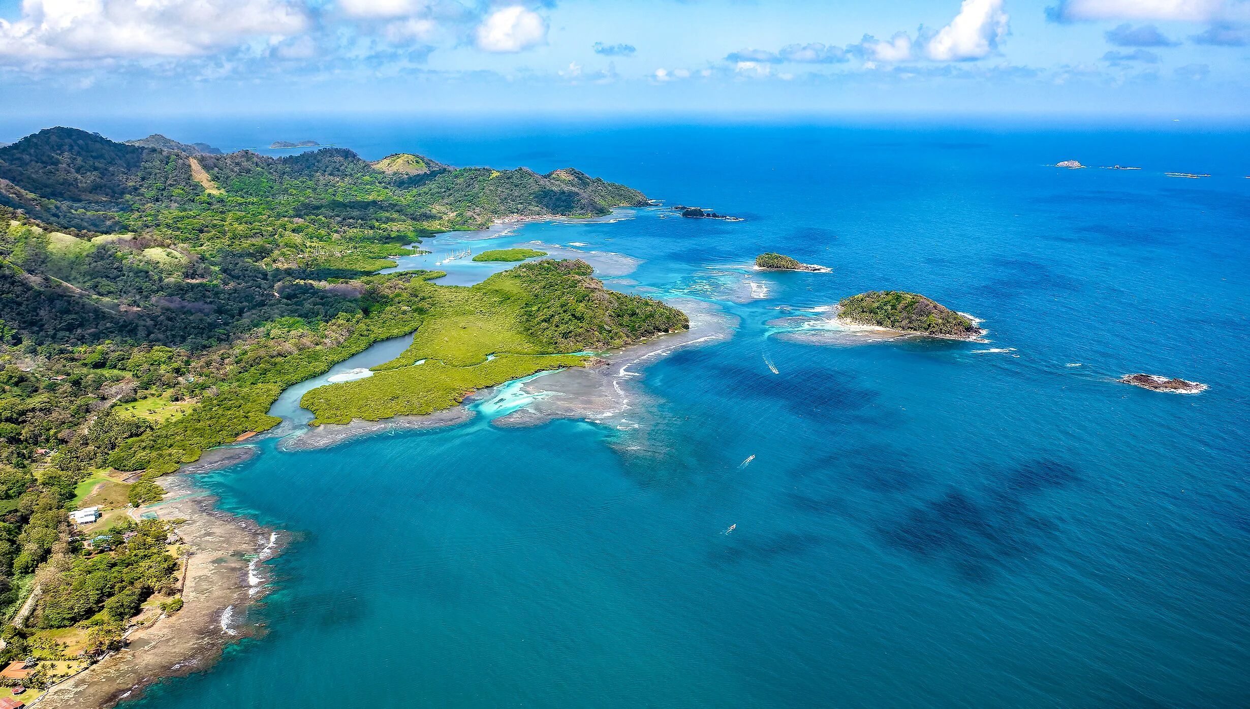 Tropical coastal landscape