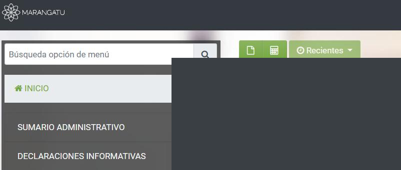 Home page green button to create a new declaration