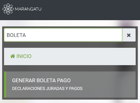 Generar Boleta de Pago